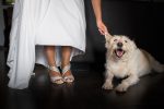 Novia y su perro. Boda en Masia Durba